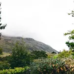 With Views Dog Friendly *