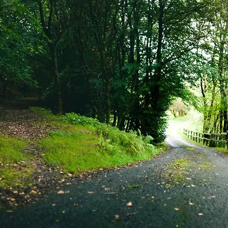 度假居 Barnesmore Cottage Barnesmore