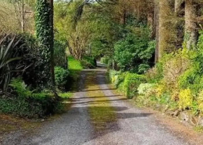 Casa vacanze Barnesmore Cottage *