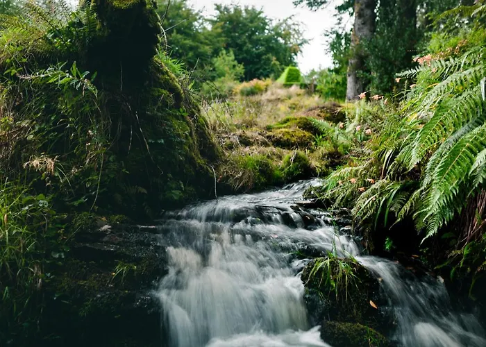 Casa vacanze Barnesmore Cottage Barnesmore